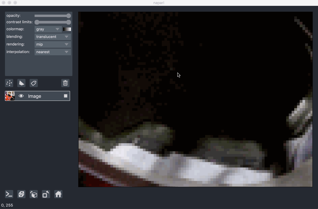 image: pan and zoom with napari